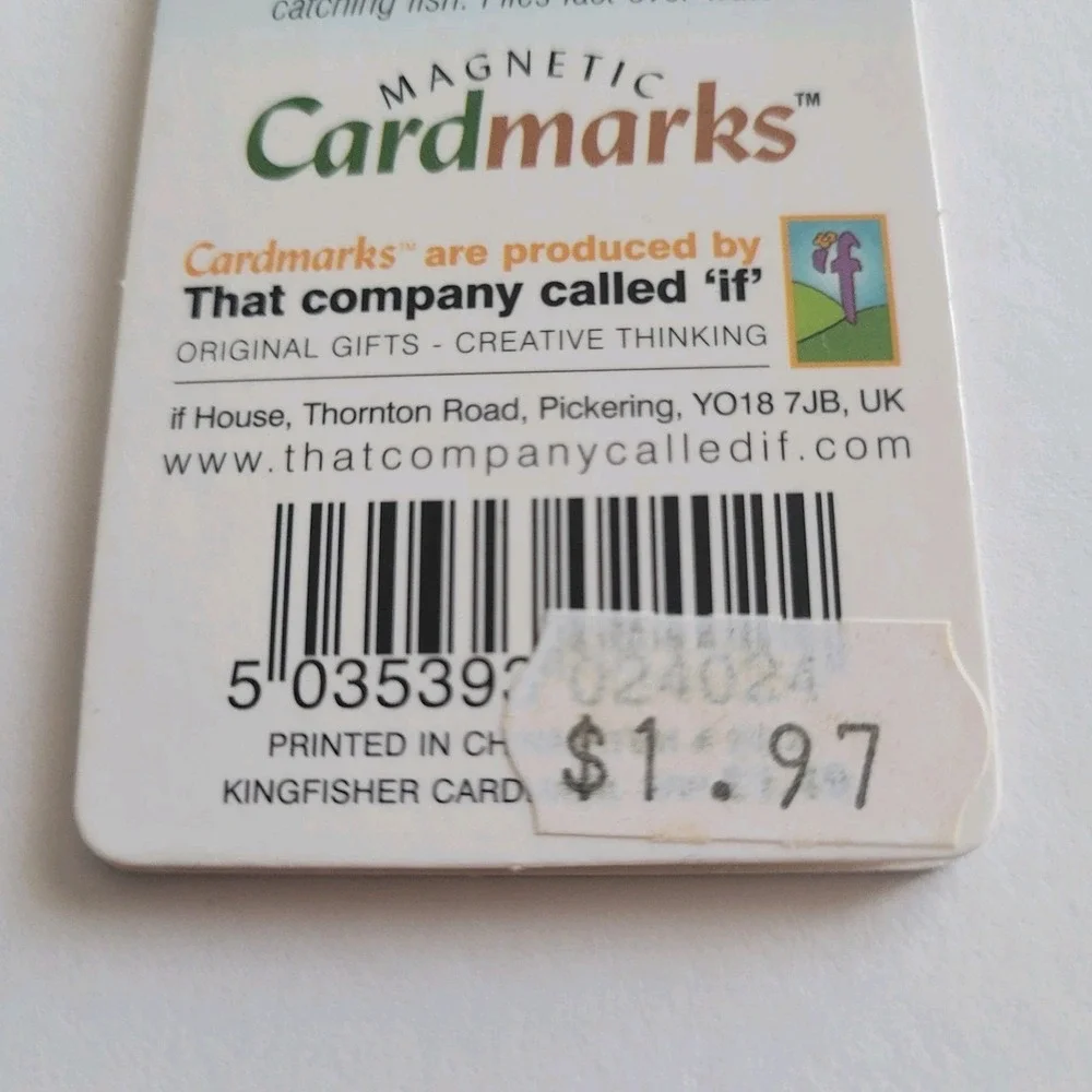 Cardmarks Kingfisher Bird Wild Nature Magnetic Magnet UK Company If 2402 Y2k 00s